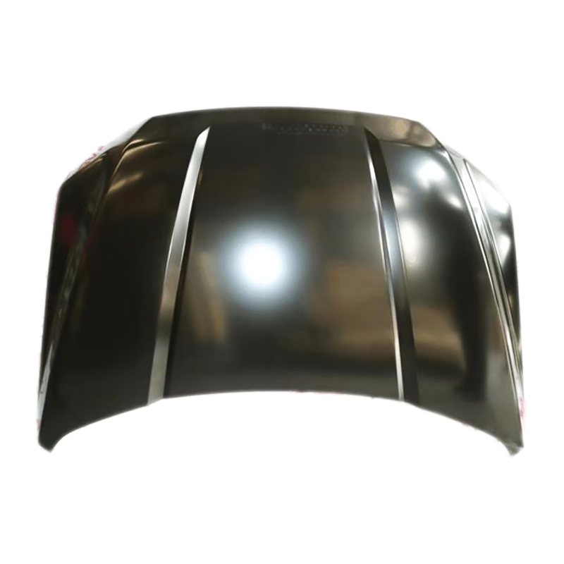 Capot F-150 15-20