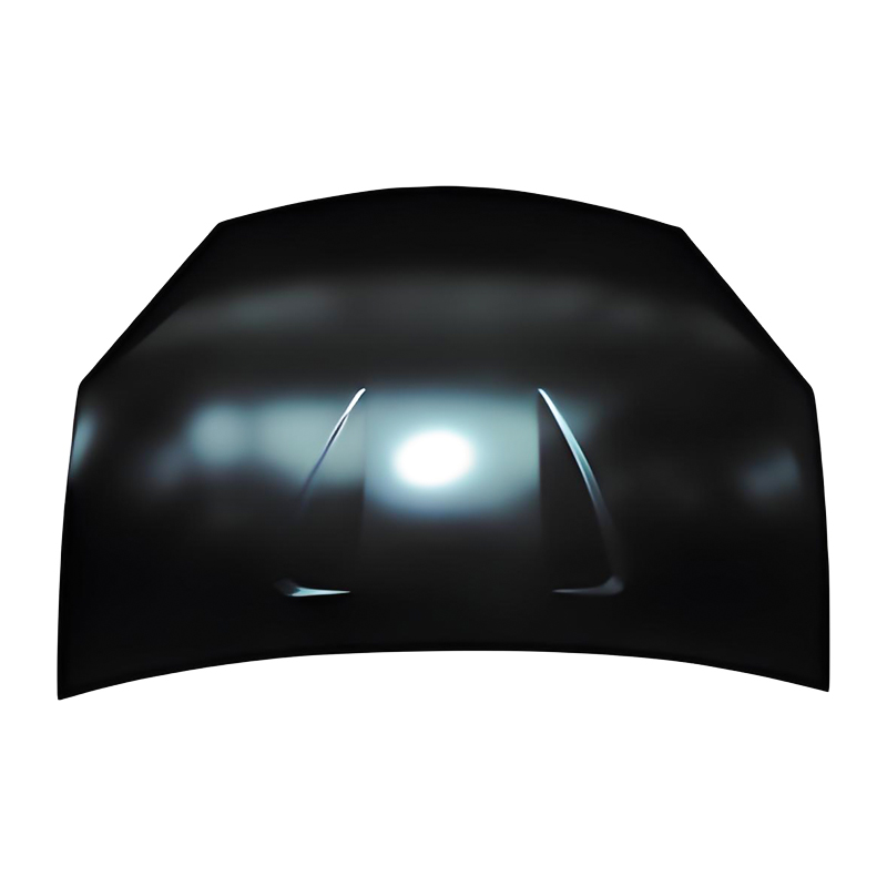 Capot SANDERO 09
