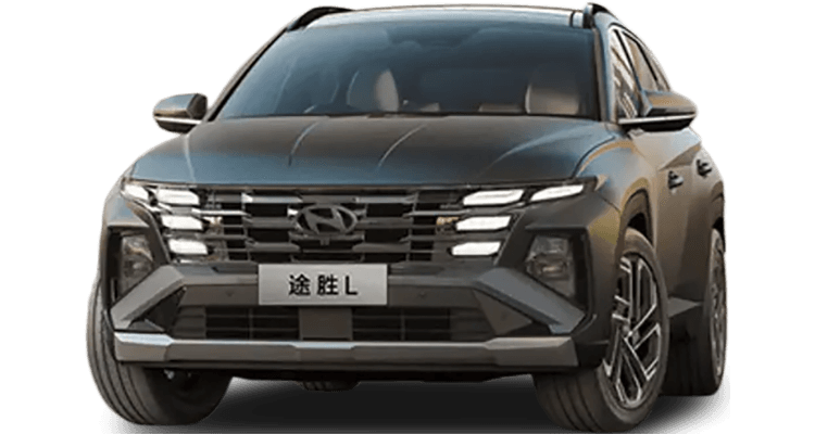 HYUNDAI TUCSON 22 CHINE